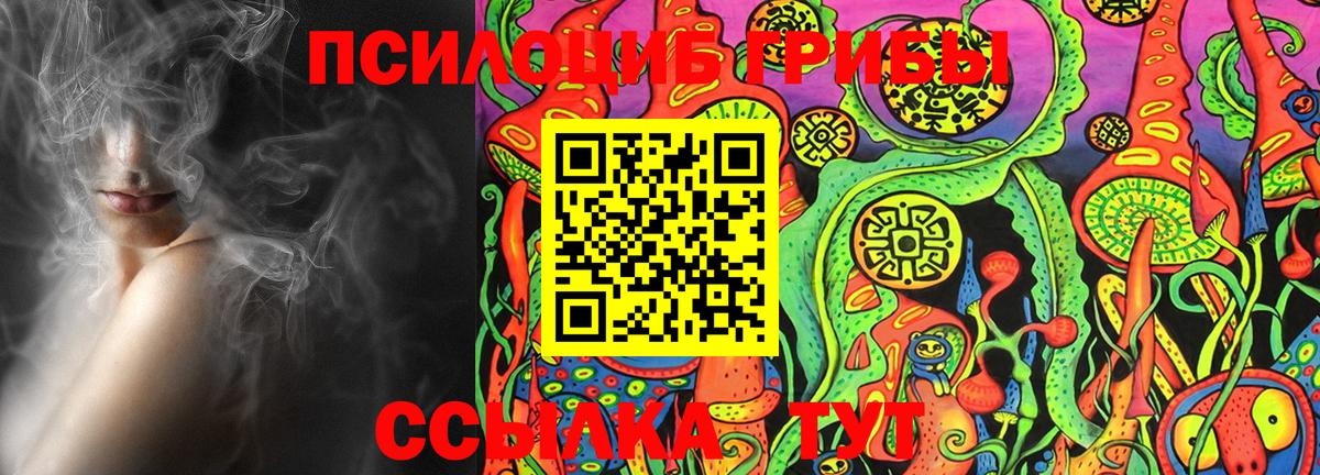 Звенигород  Галлюциногенные грибы мицелий  Псилоцибиновые грибы MAGIC MUSHROOMS  Вход с VPN 