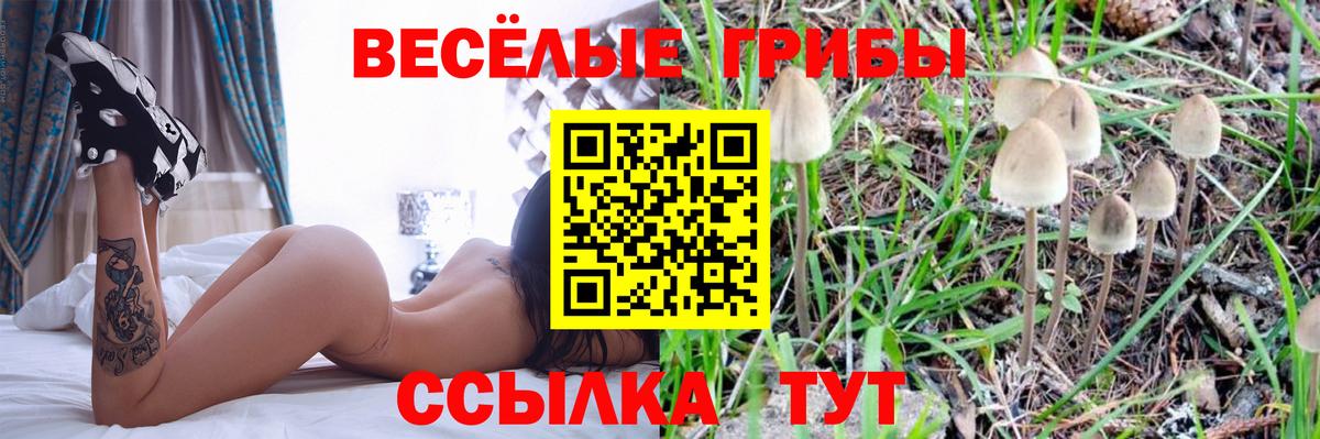 Галлюциногенные грибы мухоморы Звенигород